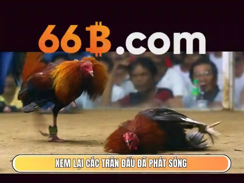 bắn cá 66b - 66B