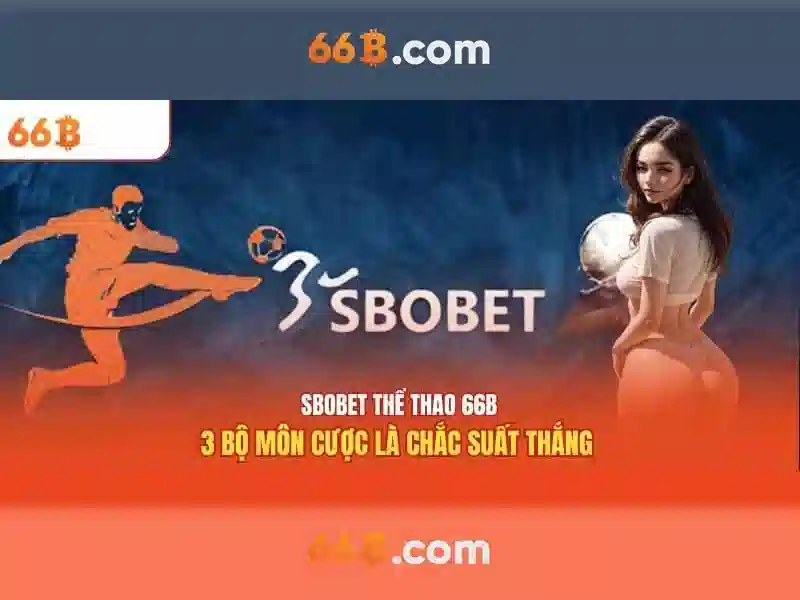  cá cược - 66B