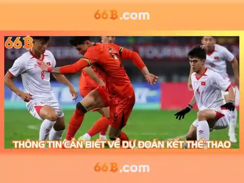 Điều khoản dịch vụ 66B: Bảo vệ quyền lợi người chơi Slot 66B - 66B