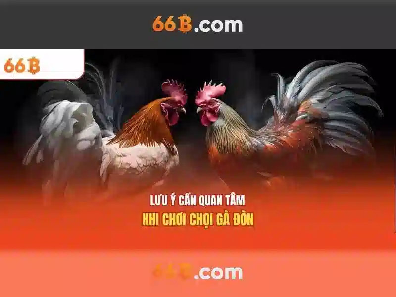  66b khuyến mãi - 66B