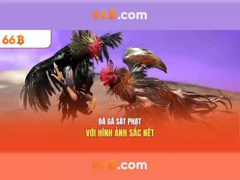 cá cược Slot - 66B