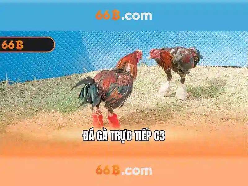  66b free chip - 66B