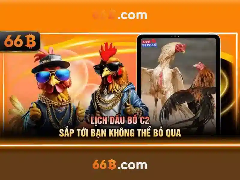 trang chủ 66b - 66B