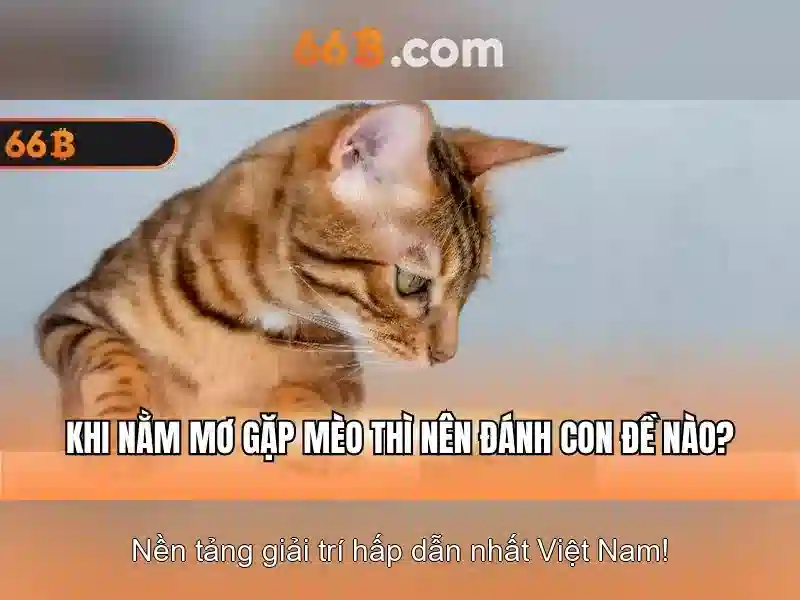 66B - Trải Nghiệm Slot 66B Độc Quyền - 66B