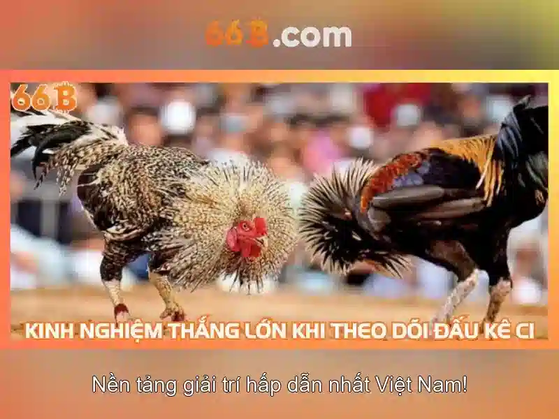 thưởng xóc đĩa - 66B