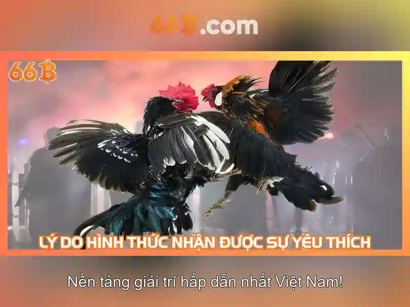  đọc cầu Slot 66B - 66B