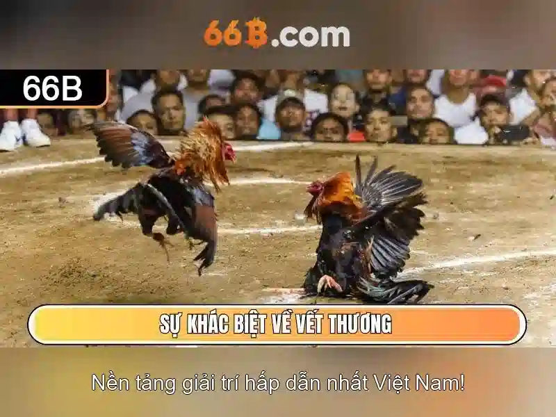ưu đãi - 66B