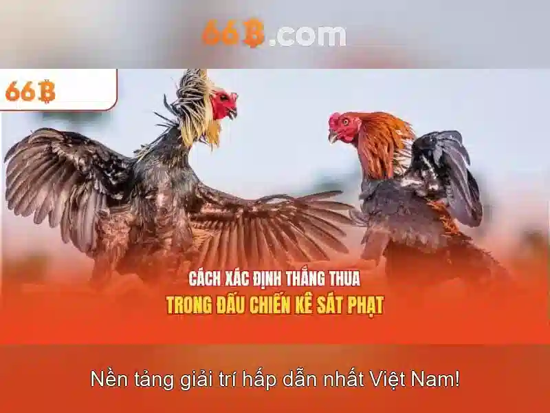 66b – Trang Chủ Chính Thức Nhà Cái Cá Cược Đẳng Cấp Hàng Đầu Châu Á 2026
