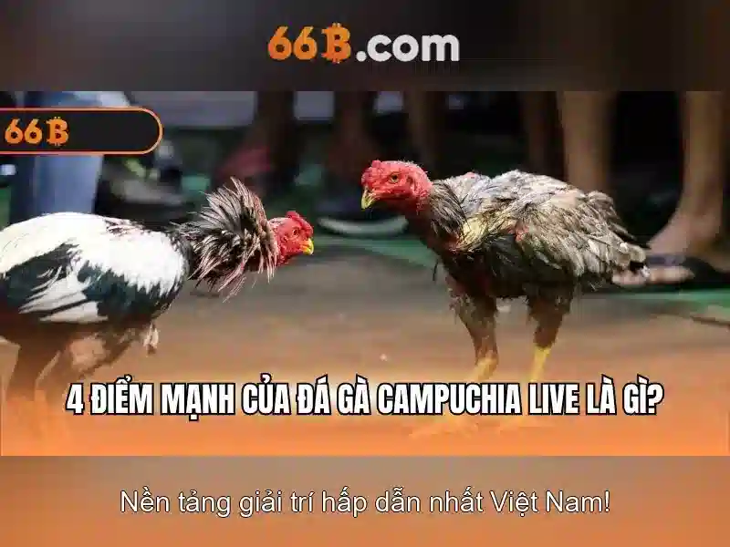 Tiến Lên 66B – Trải Nghiệm Nổ Hũ Đổi Thưởng Đỉnh Cao 2026 - 66B