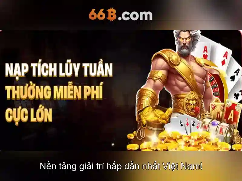  hướng dẫn code 66b - 66B