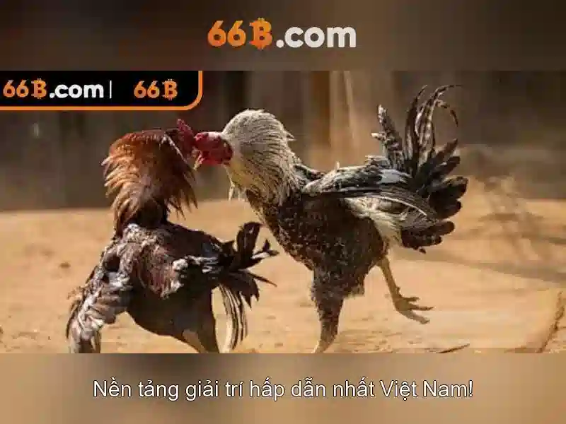  game đổi thưởng - 66B