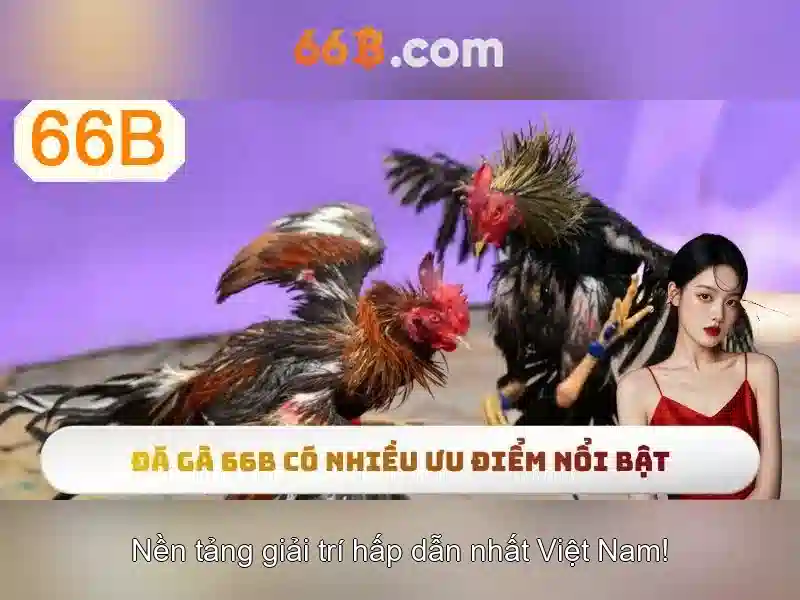 66b tặng tiền - 66B