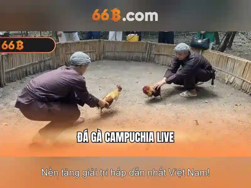  Slot 66B Android - 66B