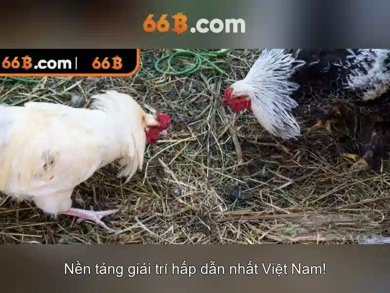  trò chơi slot - 66B