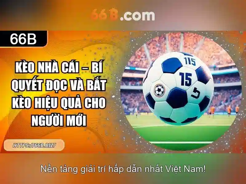 66b phiên bản mới - 66B