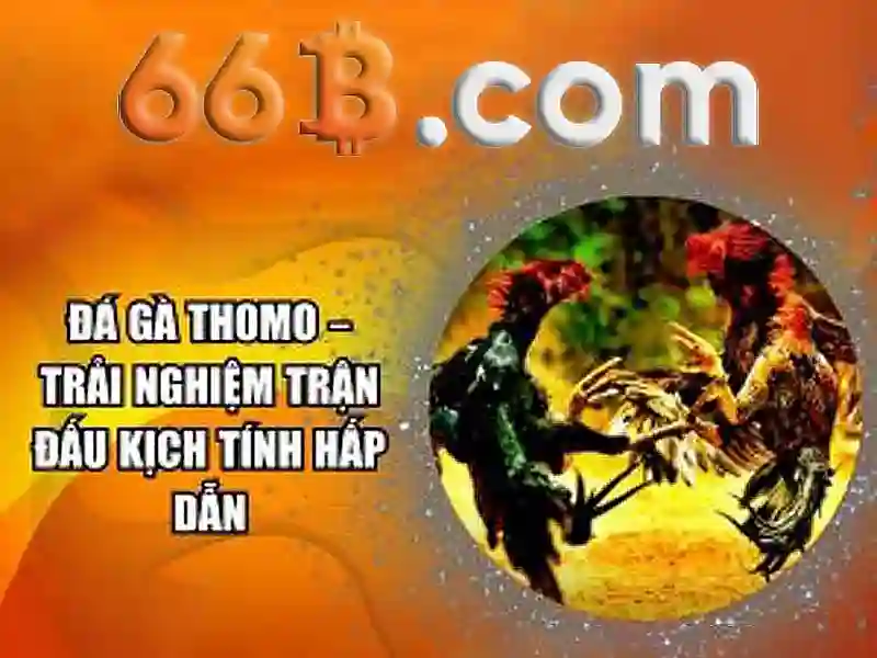 slot game - 66B
