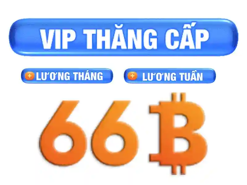 66B thể thao - 66B