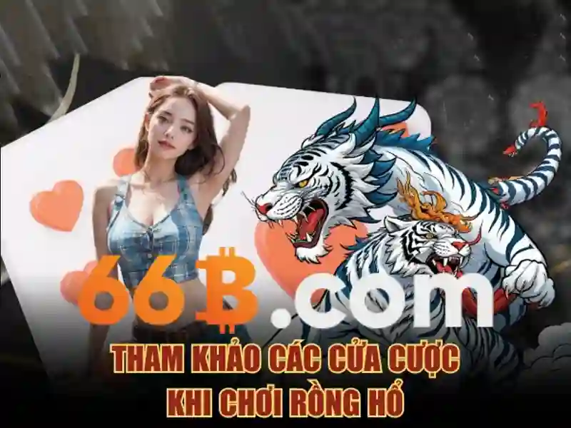  hướng dẫn 66B - 66B