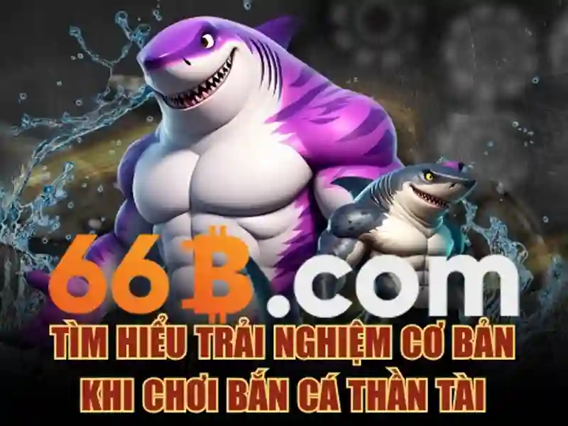 SLOT Việt Nam - 66B